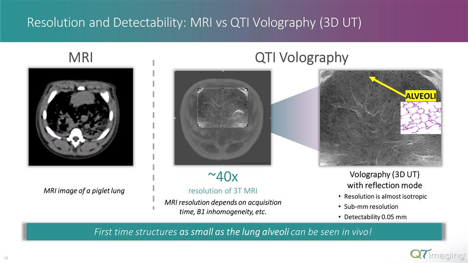 Slide 19